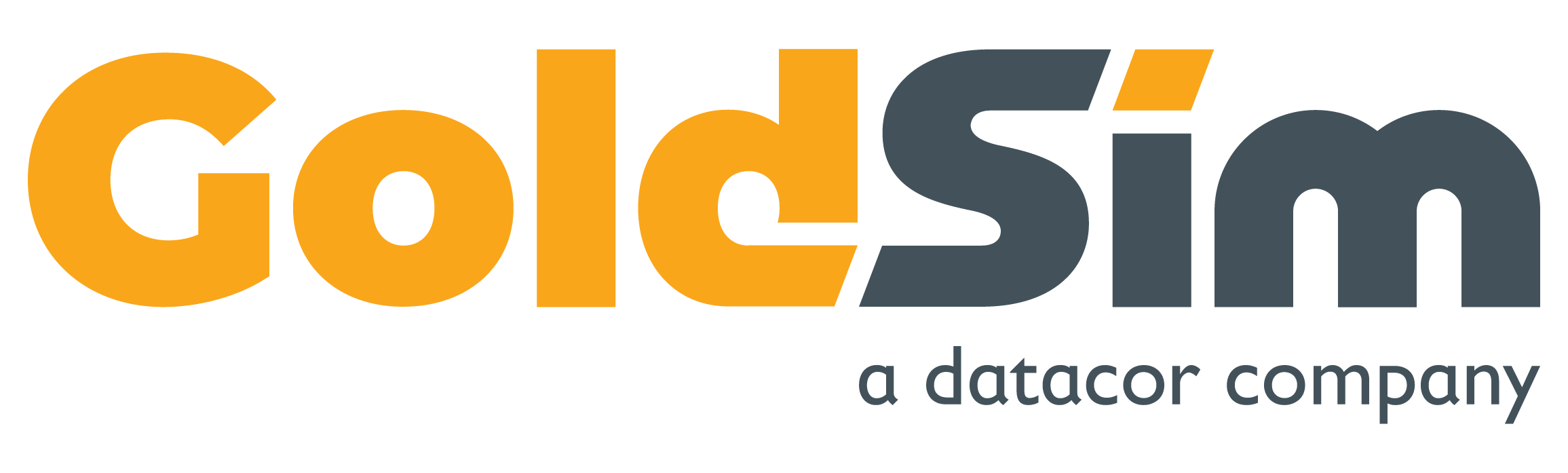 GoldSim Technology Group LLC